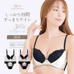 新品★未使用 B85 ~ B95 ブラ ショーツ B85-F100 大きいサイズ 脇高 サテン レース アイボリー ピンク (J-8016-ef)[メール便不可]【ブラジャー アンダー100 下着 レディース】