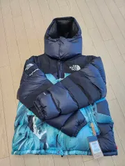 L Supreme THE NORTH FACE ザノースフェイス バルトロ 自由の女神