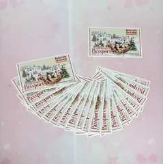 使用済み 東京ディズニーリゾート パスポート　株主優待券 20枚セット