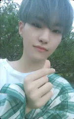 SEVENTEEN SET THE SUNSET HOSHI YOU MAKE MY DAY ピンク/青