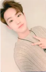 SEVENTEEN The Poet HOSHI An Ode 白