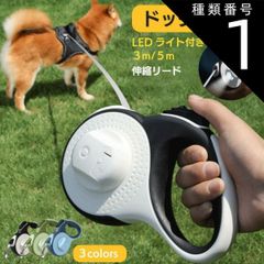 Item thumbnail for item 167d40bd-f0c7-4cf9-aadf-f80e077e8a11