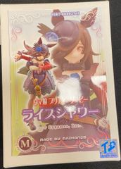 Item thumbnail for item 2ceb7030-ab7b-403f-8033-41985454a0e6