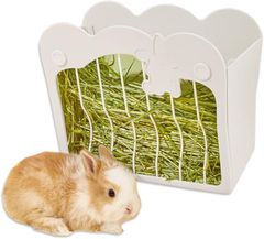 Item thumbnail for item bc304f41-5881-4f0f-a708-dca82facd1c0