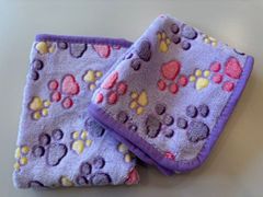 Item thumbnail for item b05dbd79-be70-4041-ae32-4fd7d98b15ca