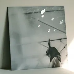 小沢健二 / 日比谷野音の小沢健二 オフィシャル海賊盤 (LP) レコード アナログ