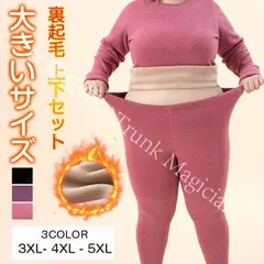 【新品未使用】インナー レディース 上下セット 肌着 裏起毛 インナーシャツ パンツ 下着 秋冬用 長袖 クルーネック あったか 保温インナー 暖かい 保温 CZH1224P348