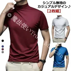 【新品未使用】【2枚組】 【】 ハイネック 半袖 メンズ tシャツ メンズtシャツ 半袖 モックネック ゴルフ ストレッチ 無地 モックネックシャツ ハイネックtシャツ トップス カットソー スポーツウェア CZH1224P1524
