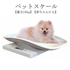 Item thumbnail for item 5d4d214c-1078-4800-8a78-780426084767