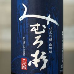 Item thumbnail for item 85c1b66e-7236-41e4-bd71-0f5e98501dea