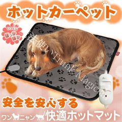 Item thumbnail for item 45cf5c79-6799-4b6a-bd29-f1c2aaa1f17a