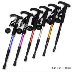 Item thumbnail for item 100680ee-a682-40ca-bb22-9b79287507a5