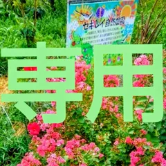 ちこ様専用です。