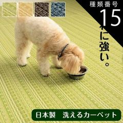 Item thumbnail for item c5b8fee9-fa51-485c-81f7-440a44672e0a