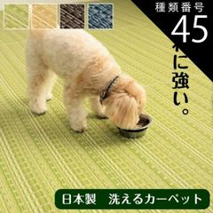 Item thumbnail for item 9fb1e6ff-7d7d-4bcd-a119-20e03e5af98a