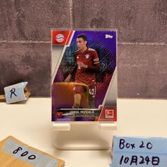 Item thumbnail for item 03500eaf-4a18-4b0b-9f00-bade93eca314