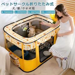 Item thumbnail for item ee6f2463-c54b-489f-ac11-080ae1a8dfd1