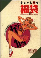 富士見書房 ちょっとエッチな福袋 5集(中綴じ開封)