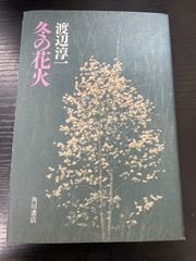 送料無料 ◇ 渡辺淳一 冬の花火 小説 - メルカリ