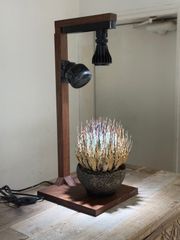 週末SALE。ウォルナット 植物用LEDライトスタンド - メルカリ