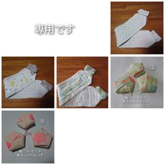 Item thumbnail for item 20fea644-e938-45ae-84ca-1859d4cad1cc