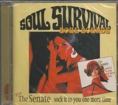 Soul Sounds / Sock It to You One More Time
