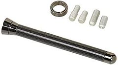 Item thumbnail for item 6352527c-044b-4829-aa21-6f7646e724bf