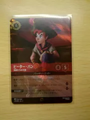 2026年最新】エンチャンテッド ピーター・パン 海賊たちの天敵の人気