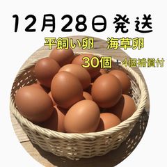 Item thumbnail for item fcc9af7b-4e5b-490d-be31-44b594b0629b