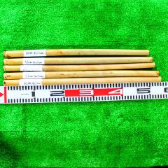 Item thumbnail for item 4037f8ad-a293-41c3-8aa7-1bd64cd1c397