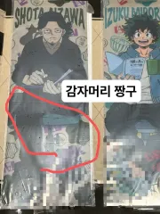 僕のヒーローアカデミア 緑谷 & 相澤 ミニ ファイル