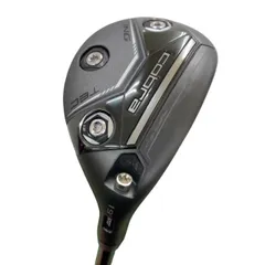 2026年最新】ユーティリティ 3u コブラの人気アイテム - メルカリ