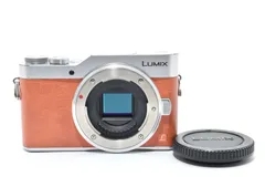 2025年最新】panasonic lumix gf9の人気アイテム - メルカリ