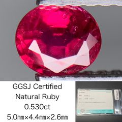 Item thumbnail for item 6f6e1529-b6c6-4948-aee7-54c7e2c6f730