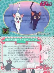 Item thumbnail for item 6a0ee016-c25e-4803-b8c2-9aa4484abad0