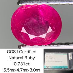 Item thumbnail for item 683e2f5e-226f-4134-8541-ae11f0bd157d