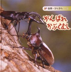 Item thumbnail for item 3120e274-c031-4f66-9979-519a2b4217a1