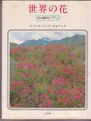 Item thumbnail for item e3a7ef1e-aeac-4b37-9019-a38aa2ba48a7