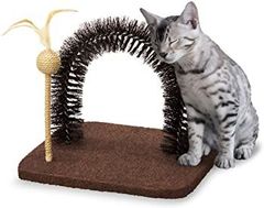 Item thumbnail for item 91e2cebb-020d-4fcb-819a-6351c9bad6c6