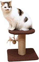 Item thumbnail for item 5470f582-f3cd-4935-bdfc-a5a93c64212a