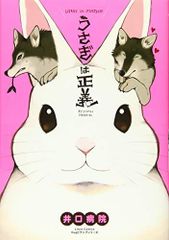 Item thumbnail for item 893cb2a1-fbf1-4d45-9eca-8fa4c46d258f