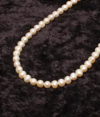 ネックレス SV 淡水パール 5-6mm レディース