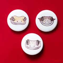 うささん*オリジナルグッズ(フトアゴヒゲトカゲのナッツ君)ハート缶