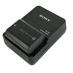 2025年最新】NP-FZ100の人気アイテム - メルカリ