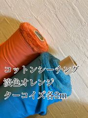 Item thumbnail for item cfefe985-1c4f-4672-9e69-e114672f6f63