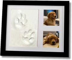 Item thumbnail for item 6cc3ed07-b697-49a8-97d1-447b0aa33a60