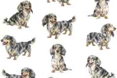 【ゆきちゃん限定】X2556 ダックス シルバーダップル 白 生地 1m