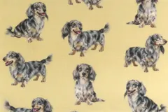 【ゆきちゃん限定】X2558 ダックス シルバーダップル ベージュ 布 1m