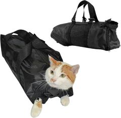 Item thumbnail for item 0dc97cba-3a99-445d-bf8d-765d8242f309