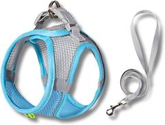 Item thumbnail for item 089b2f3a-4cfb-44c7-ba59-f14d7243e2c8